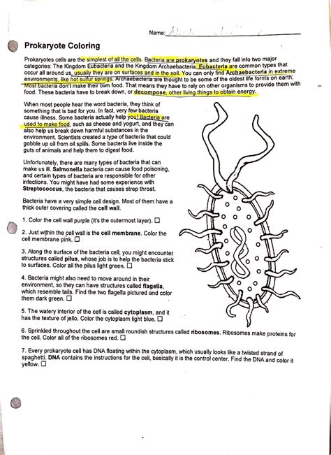 20 Prokaryote Coloring and Worksheet Answers | Worksheet From Home