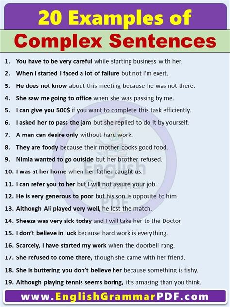 20 examples of complex sentences with answers pdf