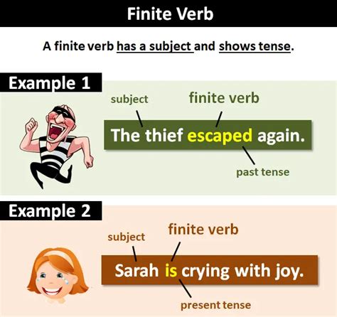 20 examples of finite verbs with answers