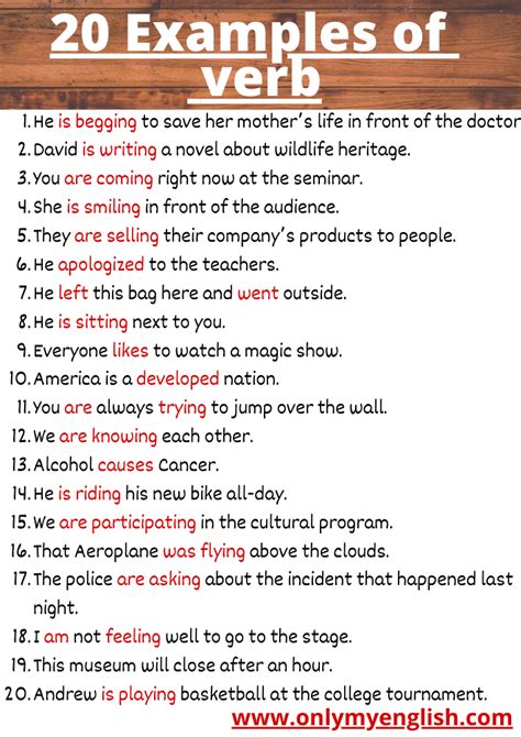 20 examples of verbs with answers