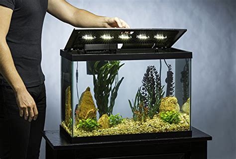 20 gallon fish tank light