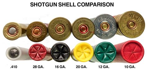 20 Gauge Shotgun Recoil Vs 223 