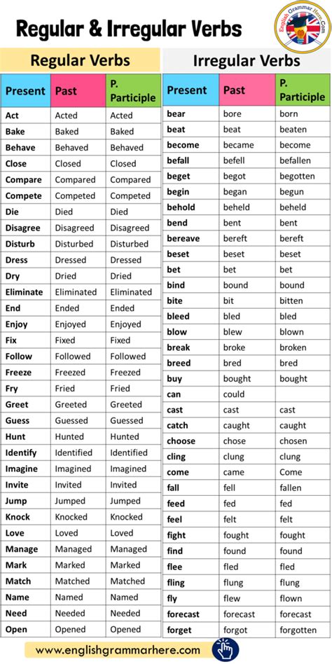 20 regular verbs and 20 irregular verbs with examples