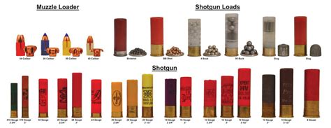 20 Shotgun Shells Chart