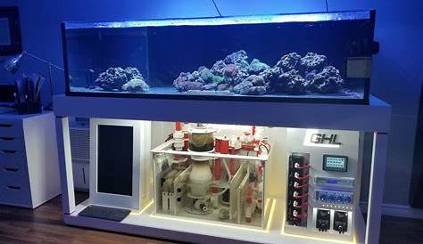 200 Gallon Saltwater Aquarium Setup Drop Down Reef Fish Tank Coral Reef Fish Decorations