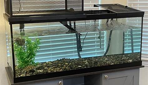 Turtle Introduced to New 200 Gallon (220 Technically) tank