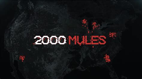 2000 Mules Data Analysis