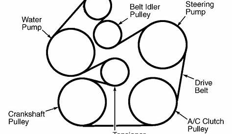 I am trying to find a diagram of how the serpentine belt