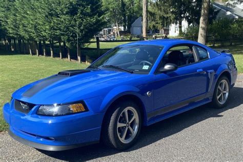 2003 2004 mustang mach 1 for sale