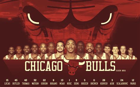 2010-11 chicago bulls roster