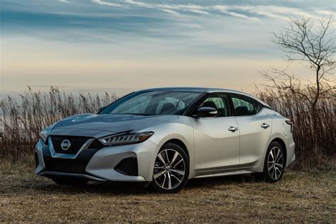 2019 nissan maxima for sale cargurus