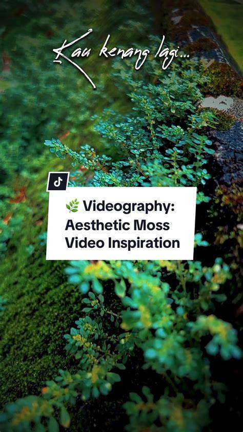 2020/12/page/4 aesthetic tips diy tutorial tutorial examples inspiration