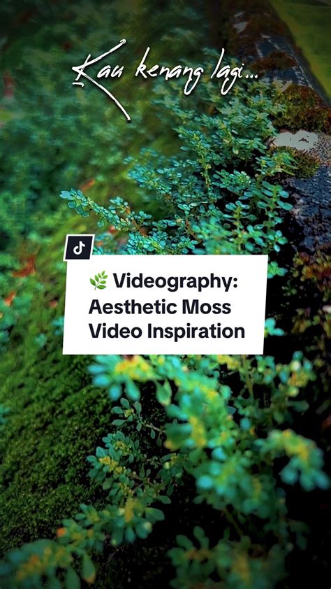2020/12/page/4 aesthetic tips diy tutorial tutorial examples tutorial tips