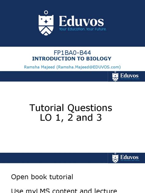 2020/12/page/4 collection guide guide tutorial tutorial guide tutorial