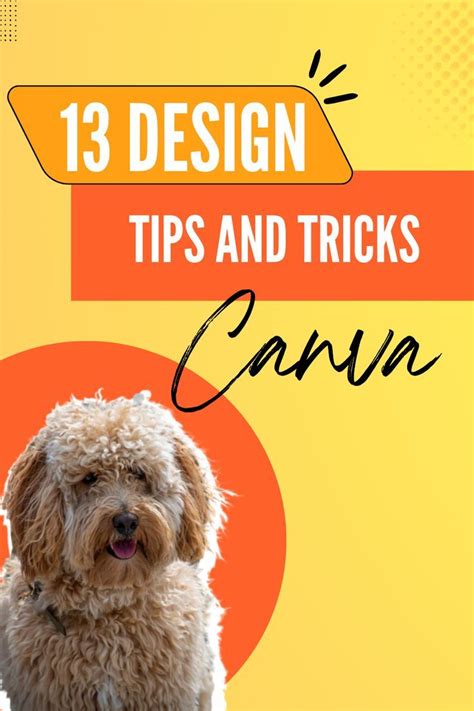 2020/12/page/4 tips design ideas guide tutorial tips tutorial tutorial tutorial