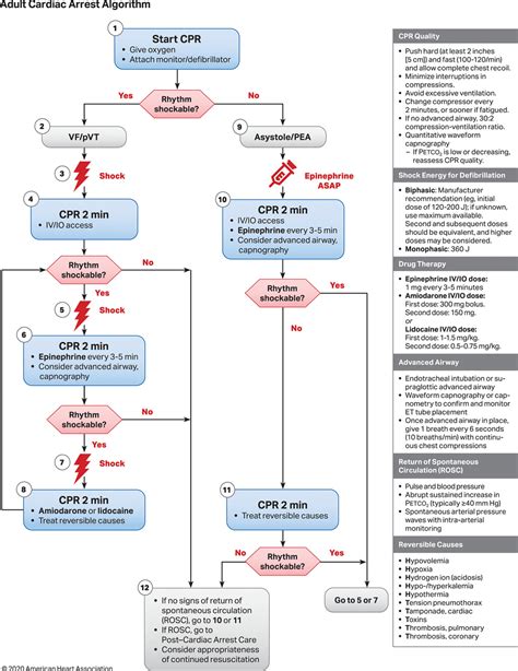 2020 acls algorithms pdf