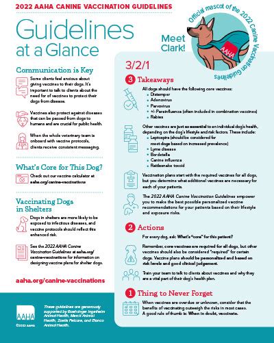 2022 aaha canine vaccination guidelines
