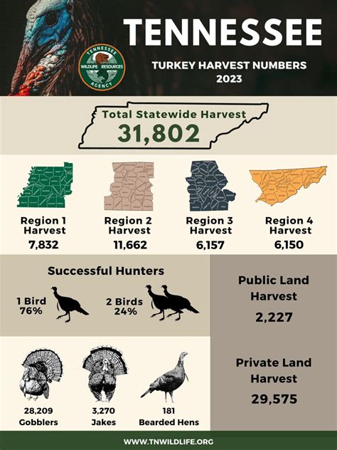 2023 Spring Turkey Hunting Digest