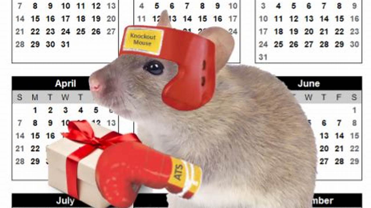 2024 Calendar Targeting Methods