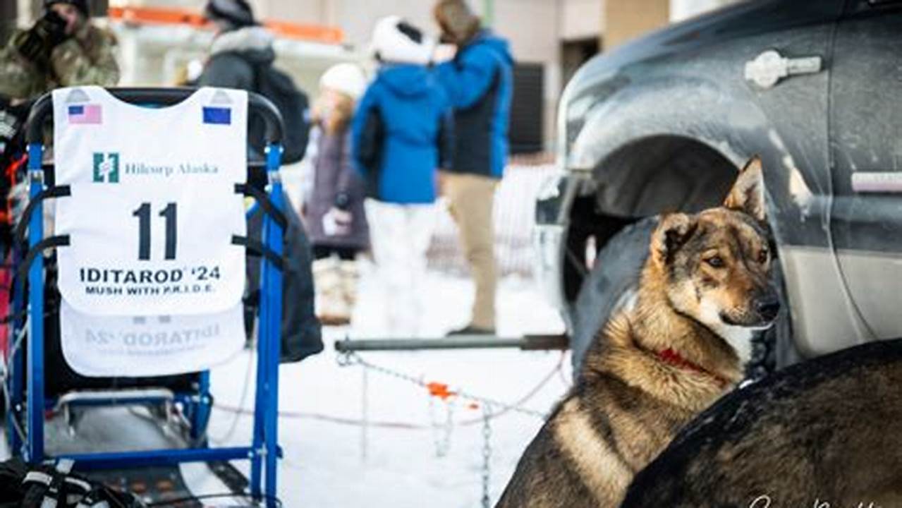 2024 Iditarod Start Date