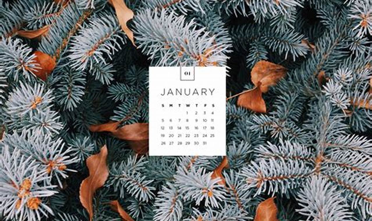 2024 January Calendar Wallpaper Hd 1080p