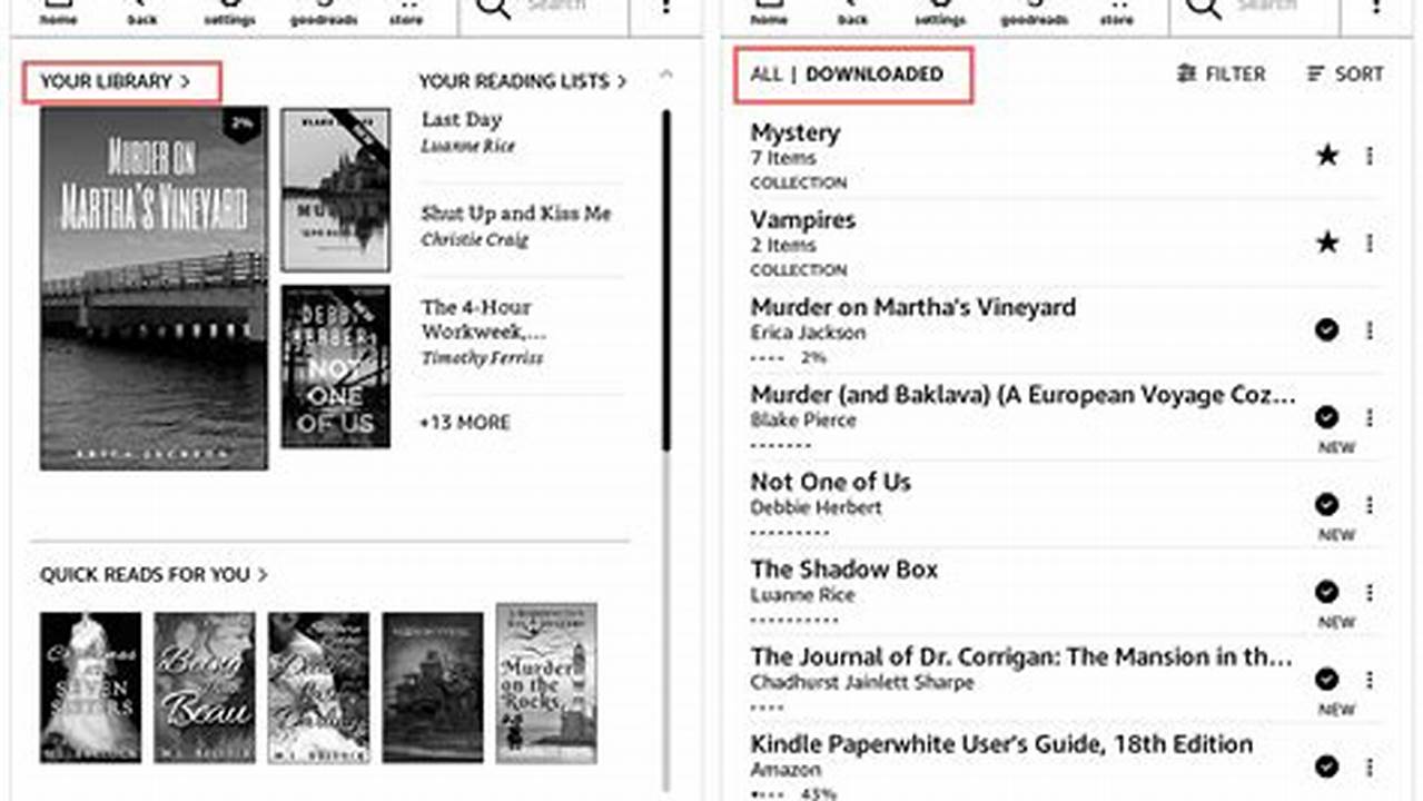 2024 Kindle Library Management