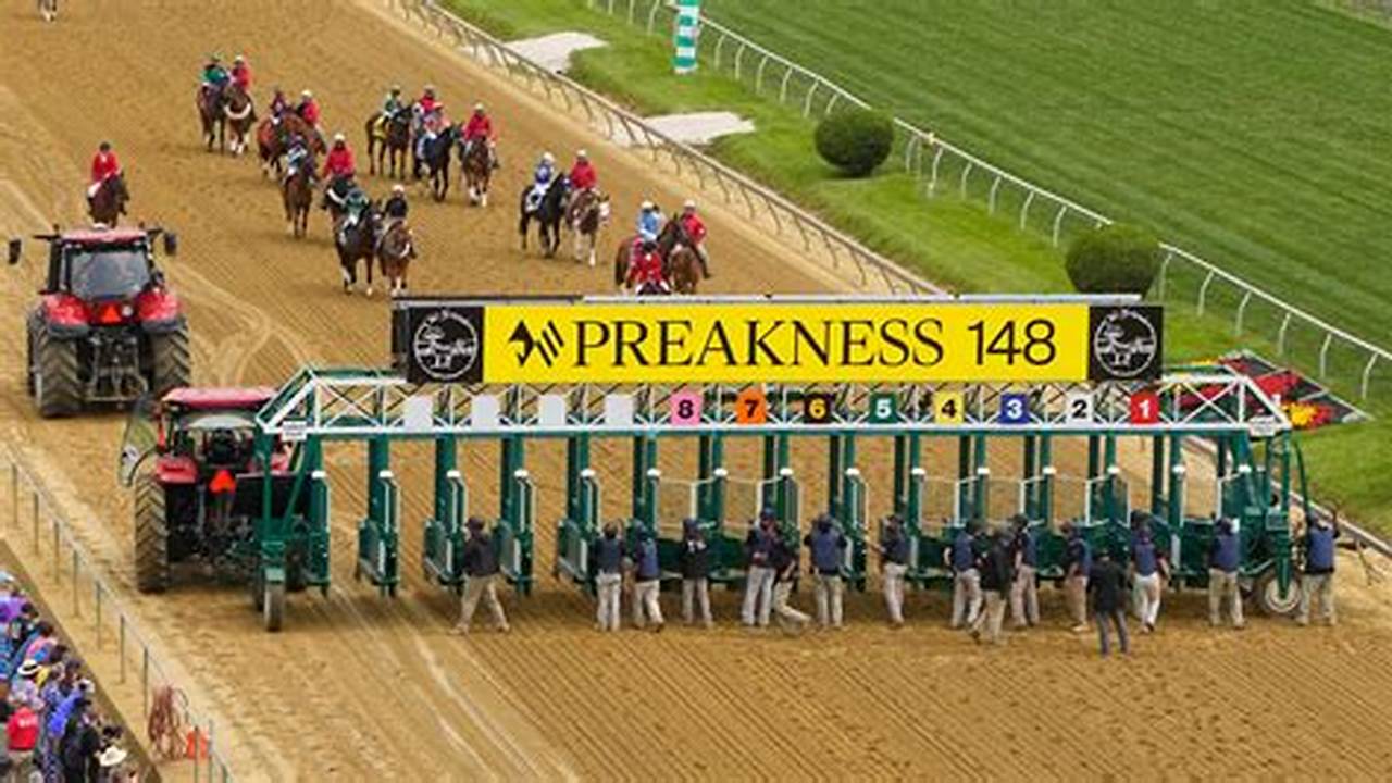 2024 Preakness Probables