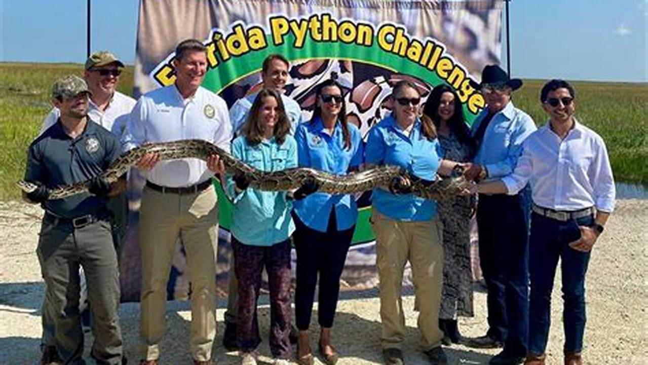 2024 Python Challenge