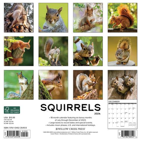 Squirrel Calendar 2023 Monthly Wall Hanging Calendar Funny