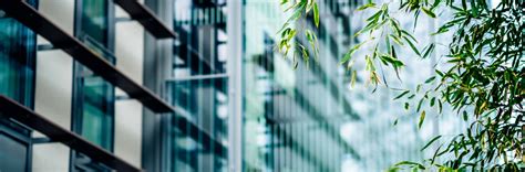 2025 spring finance analyst intern chipotle