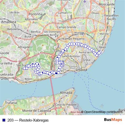 203 Route Schedules, Stops & Maps Circle (Updated)