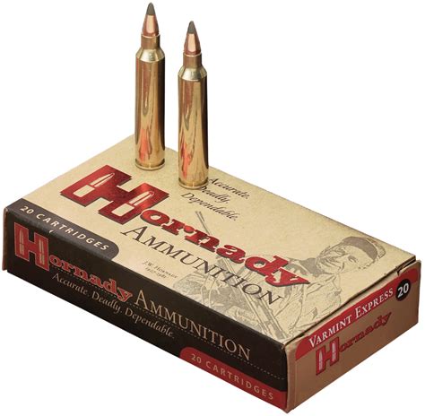 204 Ruger Ammo Academy 