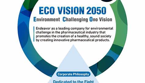 2050 Vision Example