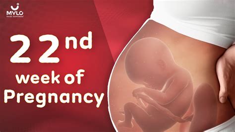 Your 22 Weeks Pregnant Journey: Growth, Development, and Expectations