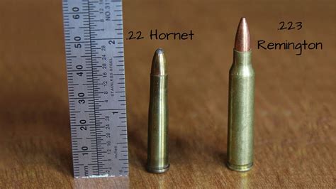 223 Bullet