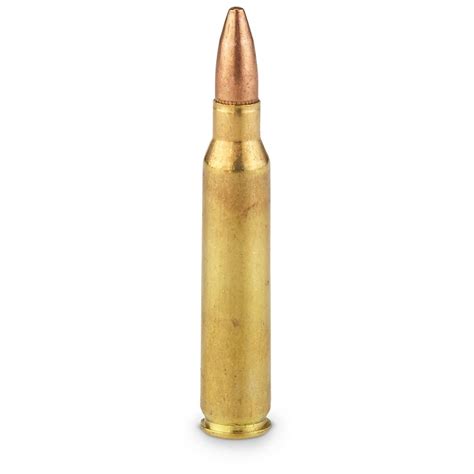 223 Remington Ammo Review 