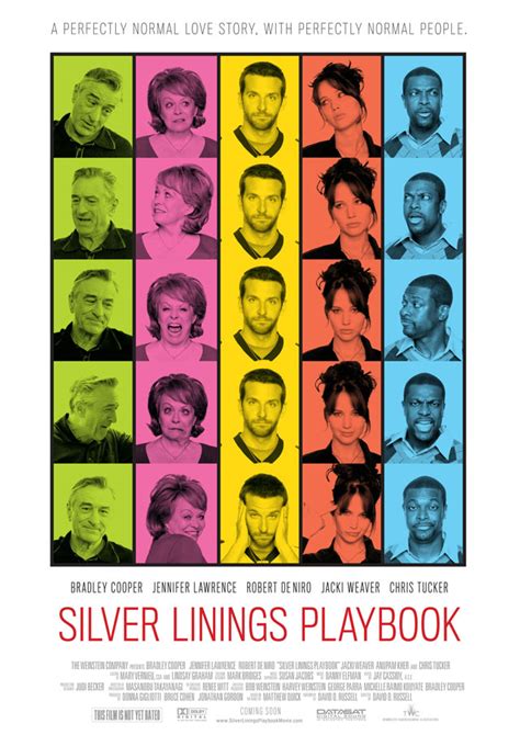 23. Silver Linings Playbook