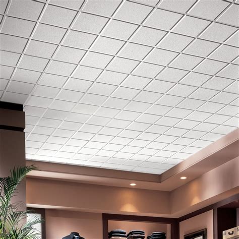 24 inch by 24 inch ceiling tiles