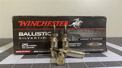 25 Winchester Super Short Magnum Ar 15