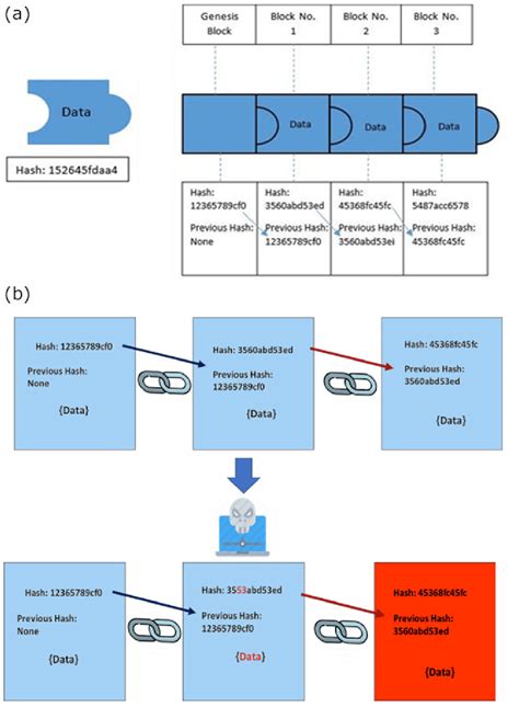 256 linking an image