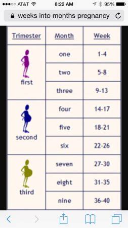 Calculating 26 Weeks: What Month Can You Expect?