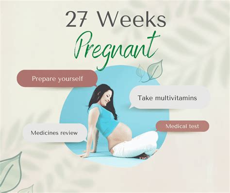 What to Expect at 27 Weeks Gestation Pregnancy Guide