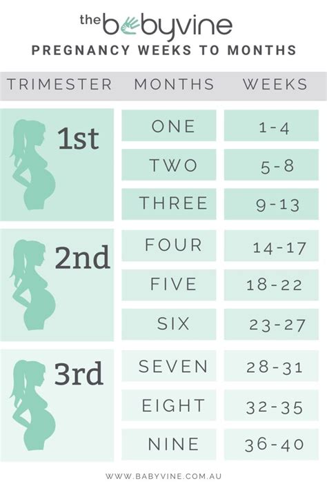 28 Weeks Pregnancy: How Many Months Pregnant Am I?