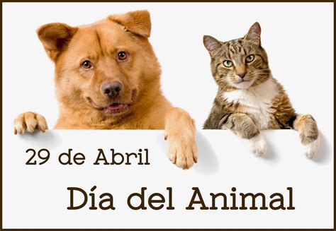 29 de abril dia del animal