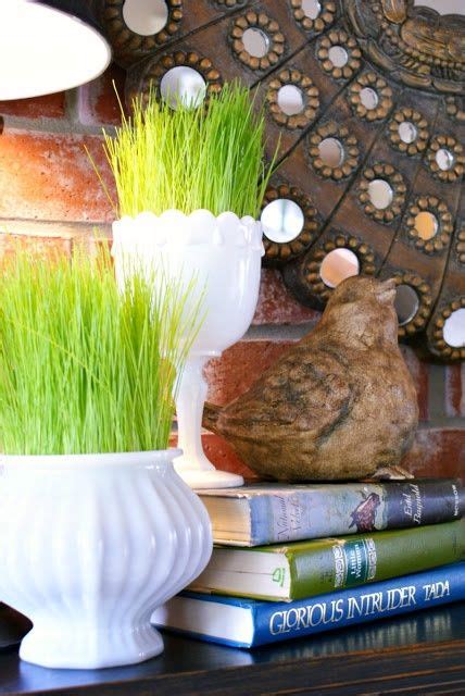 49 Fresh Wheatgrass Home Décor Ideas To Try In Spring DigsDigs