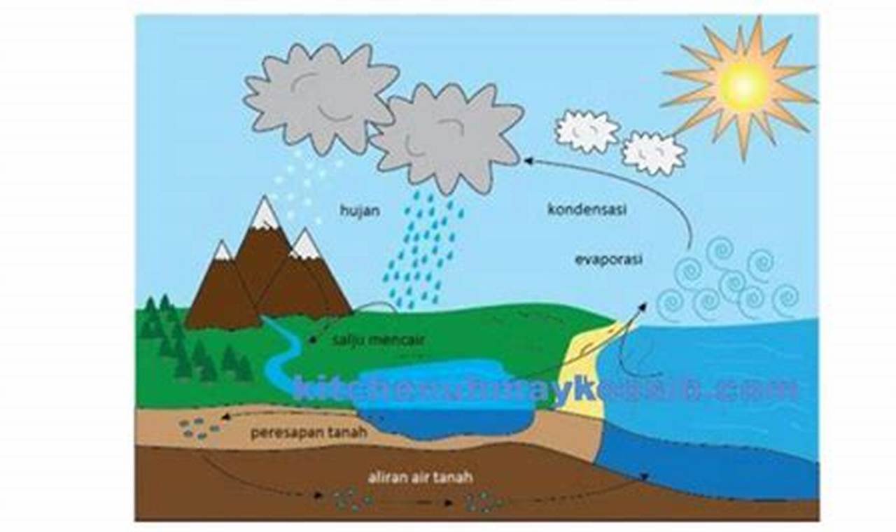 3 faktor faktor apa sajakah yang menyebabkan berkurangnya daerah resapan air?