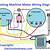 3 wire washing machine motor wiring diagram