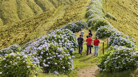 3 Best Group Activities in Azores