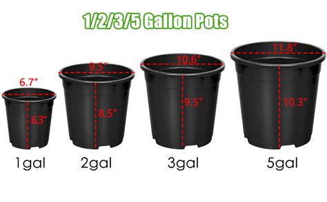 3 Gallon Pot Plant