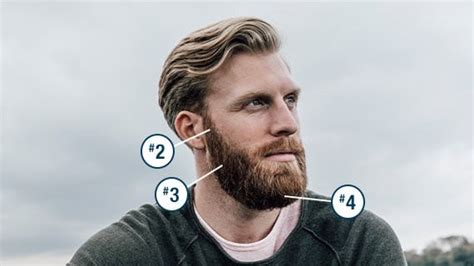3 Guard Beard